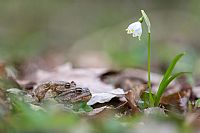 Be nice or be ugly?  Alive!