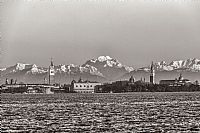 Venice experience: the bell towers and the owl