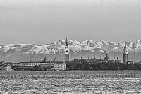 Venice experience: bell towers and the hippo :)