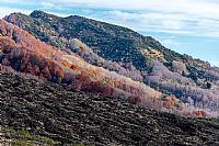 from wound to beauty