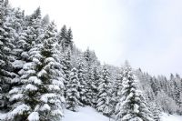 Bianco, acqua ... #2