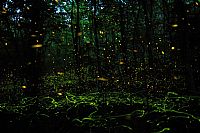 accendi la notte / light up the night