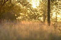 impressioni di settembre