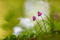 impressioni di settembre #2