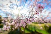 le meraviglie, quelle semplici! #2