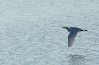 e ora non mi prenderai pi�!