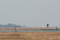 corro, mi stanno aspettando ...