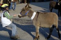 Renitenza ...e resistenza: una soluzione difficile