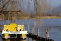 immobile lacustre #2