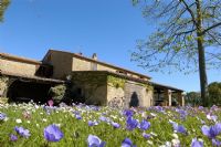 piacevole abbandono ...