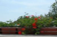 uno scorcio del mio paese