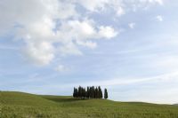 un classico toscano ...