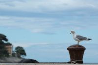 sei arrabbiato con me?