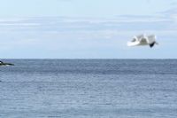 un passaggio evanescente