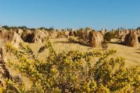 pinnacles desert #3