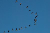 verso un appuntamento