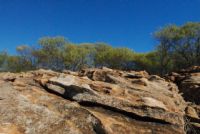 uno sguardo dal basso 