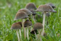   ... poi li riabbasso