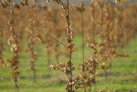 inequivocabili segnali di un inverno alle porte