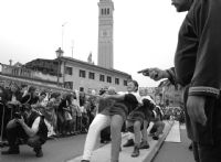 ... non sparate sul fotografo