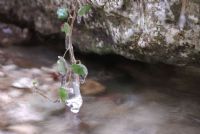 un serio impegno a resistere