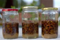 ... far tesoro per la stagione fredda