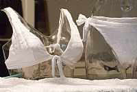 Belluno ... trasparenze,