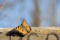 un segno sul ... percorso.