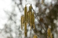 lungo il percorso ...