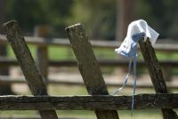 dimenticanze lungo il sentiero