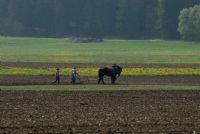 campagna ... e lavoro!