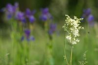 ai pal� di Sernaglia