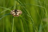 una piccola, piccola sosta