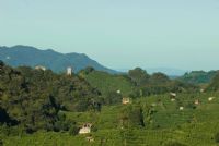 le colline del prosecco #2