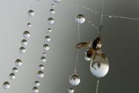 ricordando Jurassic Park