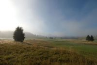 mattino sulla piana #2