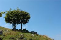 una piacevole giornata