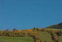 tirol erleben: sereno autunno