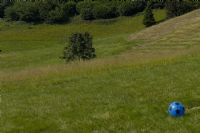 una piacevole giornata #3: un ricordo