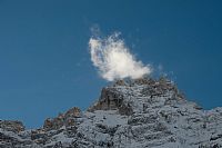 una carezza al gigante