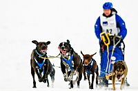 in corsa per la vittoria #3