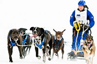 in corsa per la vittoria #3 bis