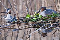 una coppia in attesa di ... #2