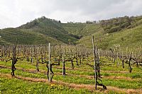 terra veneta: i colli di Col San Martino