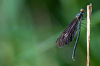 trasformazione ... riuscita!