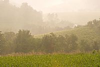 sotto una carezzevole pioggerellina