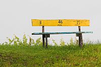 3 Laura 46 Irene M Cuzzo