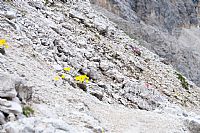 segnavia ... naturali e artificiali