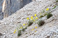 andar per sentieri ... #2