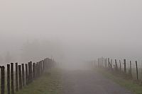 perdersi ... nella nebbia